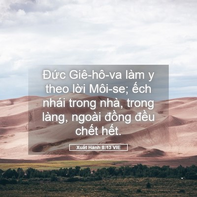 Picture 05 - Xuất Hành 8:13 VIE - Đức Giê-hô-va làm y theo lời Môi-se; - Bible Verse Picture