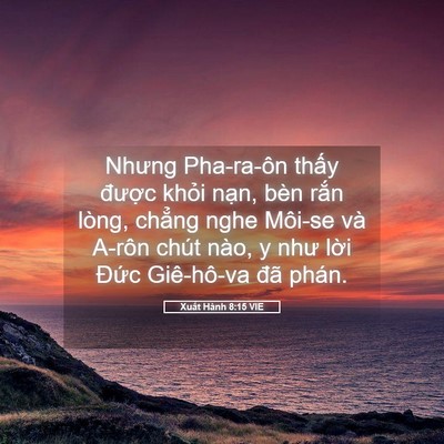 Picture 05 - Xuất Hành 8:15 VIE - Nhưng Pha-ra-ôn thấy được khỏi nạn, - Bible Verse Picture