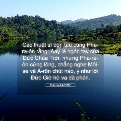 Picture 05 - Xuất Hành 8:19 VIE - Các thuật sĩ bèn tâu cùng Pha-ra-ôn - Bible Verse Picture