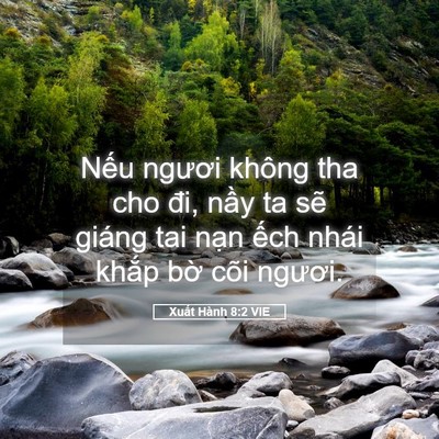 Picture 05 - Xuất Hành 8:2 VIE - Nếu ngươi không tha cho đi, nầy ta sẽ - Bible Verse Picture