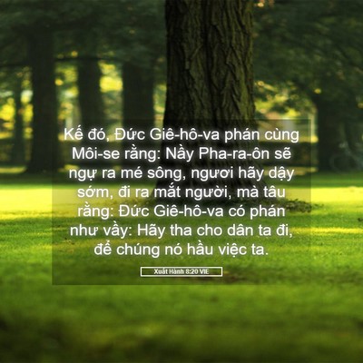 Picture 05 - Xuất Hành 8:20 VIE - Kế đó, Đức Giê-hô-va phán cùng Môi-se - Bible Verse Picture