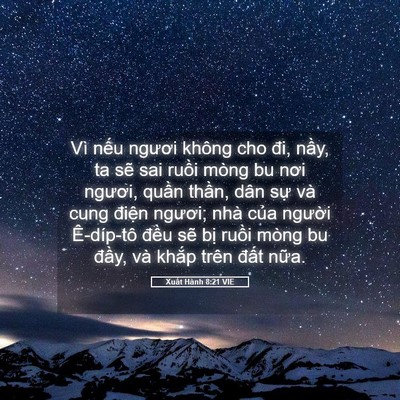 Picture 05 - Xuất Hành 8:21 VIE - Vì nếu ngươi không cho đi, nầy, ta sẽ - Bible Verse Picture