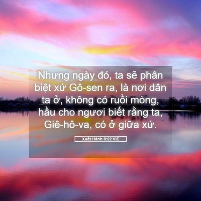 Picture 05 - Xuất Hành 8:22 VIE - Nhưng ngày đó, ta sẽ phân biệt xứ - Bible Verse Picture