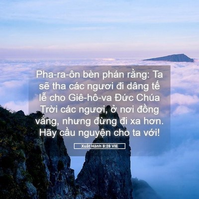 Picture 05 - Xuất Hành 8:28 VIE - Pha-ra-ôn bèn phán rằng: Ta sẽ tha các - Bible Verse Picture