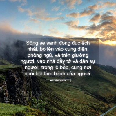 Picture 05 - Xuất Hành 8:3 VIE - Sông sẽ sanh đông đúc ếch nhái, bò - Bible Verse Picture