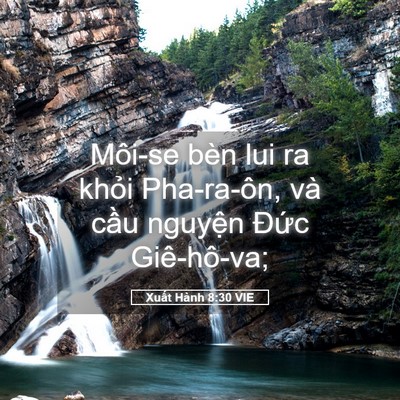 Picture 05 - Xuất Hành 8:30 VIE - Môi-se bèn lui ra khỏi Pha-ra-ôn, và cầu - Bible Verse Picture