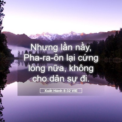 Picture 05 - Xuất Hành 8:32 VIE - Nhưng lần nầy, Pha-ra-ôn lại cứng lòng - Bible Verse Picture