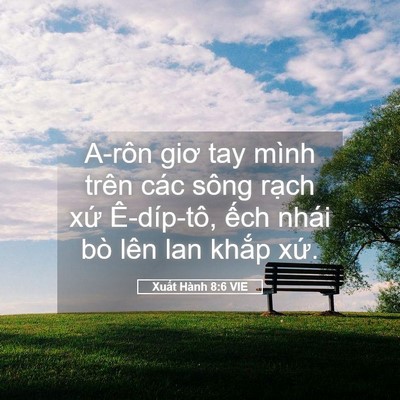 Picture 05 - Xuất Hành 8:6 VIE - A-rôn giơ tay mình trên các sông rạch - Bible Verse Picture