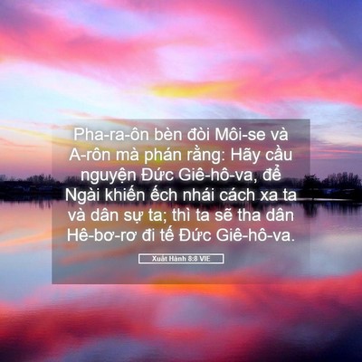 Picture 05 - Xuất Hành 8:8 VIE - Pha-ra-ôn bèn đòi Môi-se và A-rôn mà - Bible Verse Picture