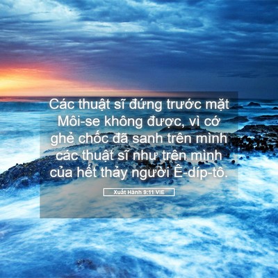Picture 05 - Xuất Hành 9:11 VIE - Các thuật sĩ đứng trước mặt Môi-se - Bible Verse Picture