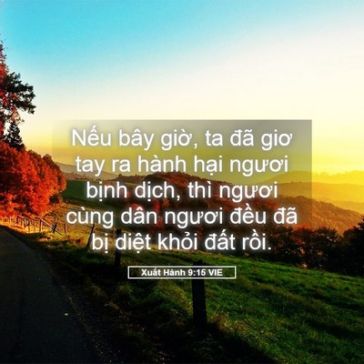 Picture 05 - Xuất Hành 9:15 VIE - Nếu bây giờ, ta đã giơ tay ra hành hại - Bible Verse Picture