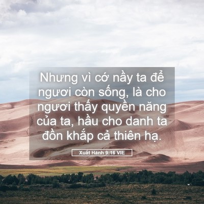 Picture 05 - Xuất Hành 9:16 VIE - Nhưng vì cớ nầy ta để ngươi còn - Bible Verse Picture