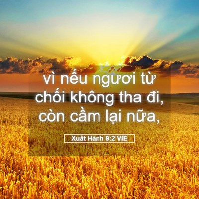 Picture 05 - Xuất Hành 9:2 VIE - vì nếu ngươi từ chối không tha đi, - Bible Verse Picture