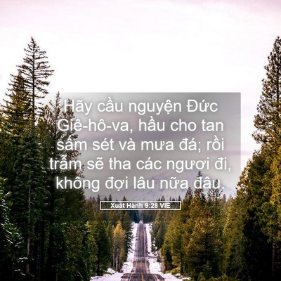Picture 05 - Xuất Hành 9:28 VIE - Hãy cầu nguyện Đức Giê-hô-va, hầu cho - Bible Verse Picture