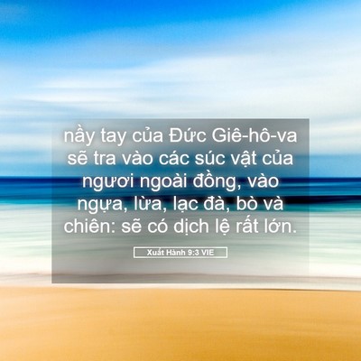 Picture 05 - Xuất Hành 9:3 VIE - nầy tay của Đức Giê-hô-va sẽ tra vào - Bible Verse Picture
