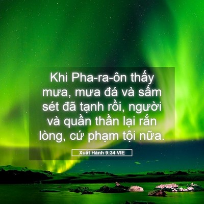 Picture 05 - Xuất Hành 9:34 VIE - Khi Pha-ra-ôn thấy mưa, mưa đá và sấm - Bible Verse Picture