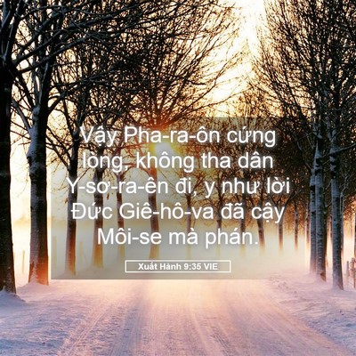 Picture 05 - Xuất Hành 9:35 VIE - Vậy Pha-ra-ôn cứng lòng, không tha dân - Bible Verse Picture