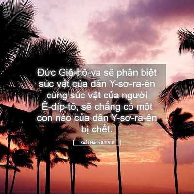 Picture 05 - Xuất Hành 9:4 VIE - Đức Giê-hô-va sẽ phân biệt súc vật - Bible Verse Picture