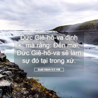 Picture 05 - Xuất Hành 9:5 VIE - Đức Giê-hô-va định k” mà rằng: - Bible Verse Picture