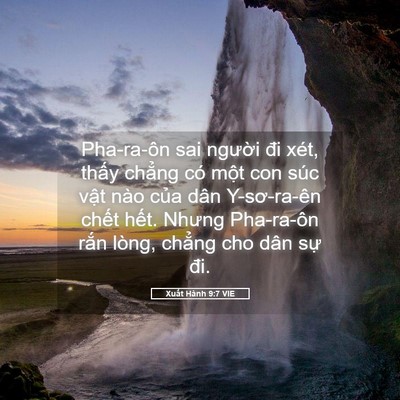 Picture 05 - Xuất Hành 9:7 VIE - Pha-ra-ôn sai người đi xét, thấy chẳng - Bible Verse Picture