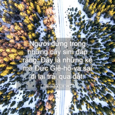 Picture 05 - Xê-ca-ri-a 1:10 VIE - Người đứng trong những cây sim đáp - Bible Verse Picture