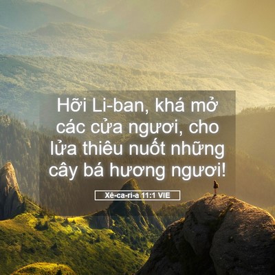Picture 05 - Xê-ca-ri-a 11:1 VIE - Hỡi Li-ban, khá mở các cửa ngươi, cho - Bible Verse Picture