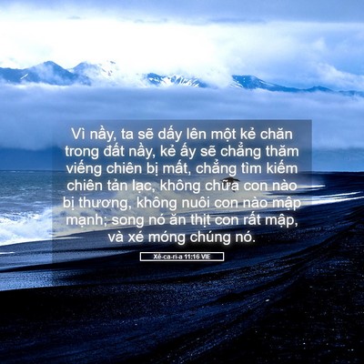 Picture 05 - Xê-ca-ri-a 11:16 VIE - Vì nầy, ta sẽ dấy lên một kẻ chăn - Bible Verse Picture