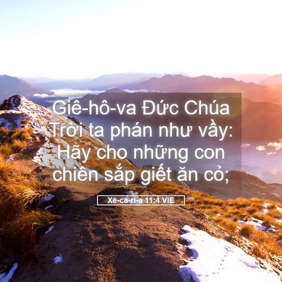 Picture 05 - Xê-ca-ri-a 11:4 VIE - Giê-hô-va Đức Chúa Trời ta phán như - Bible Verse Picture