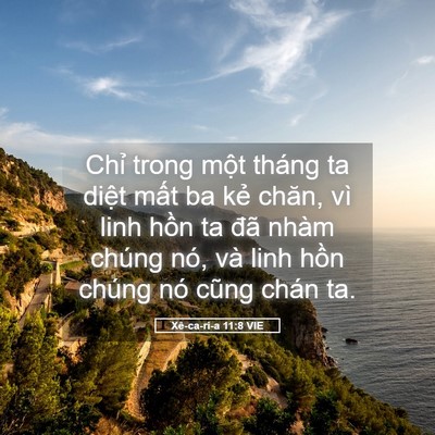 Picture 05 - Xê-ca-ri-a 11:8 VIE - Chỉ trong một tháng ta diệt mất ba kẻ - Bible Verse Picture