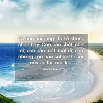 Picture 05 - Xê-ca-ri-a 11:9 VIE - Ta bèn nói rằng: Ta sẽ không chăn bay. - Bible Verse Picture