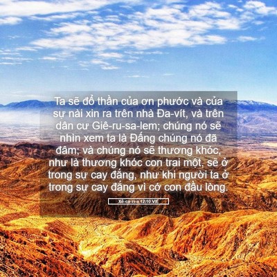 Picture 05 - Xê-ca-ri-a 12:10 VIE - Ta sẽ đổ thần của ơn phước và của - Bible Verse Picture