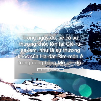 Picture 05 - Xê-ca-ri-a 12:11 VIE - Trong ngày đó, sẽ có sự thương khóc - Bible Verse Picture