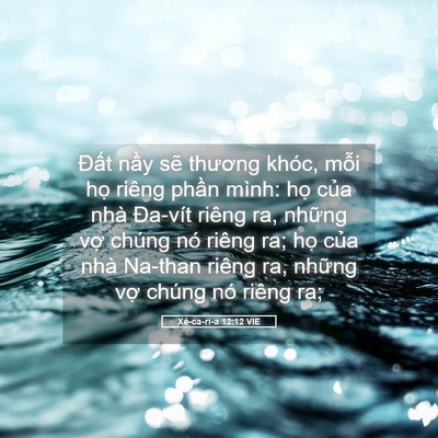 Picture 05 - Xê-ca-ri-a 12:12 VIE - Đất nầy sẽ thương khóc, mỗi họ - Bible Verse Picture
