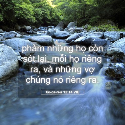 Picture 05 - Xê-ca-ri-a 12:14 VIE - phàm những họ còn sót lại, mỗi họ - Bible Verse Picture