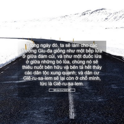 Picture 05 - Xê-ca-ri-a 12:6 VIE - Trong ngày đó, ta sẽ làm cho các trưởng - Bible Verse Picture