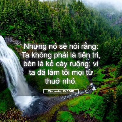 Picture 05 - Xê-ca-ri-a 13:5 VIE - Nhưng nó sẽ nói rằng: Ta không phải là - Bible Verse Picture