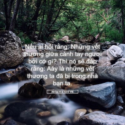 Picture 05 - Xê-ca-ri-a 13:6 VIE - Nếu ai hỏi rằng: Những vết thương - Bible Verse Picture