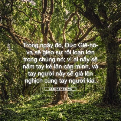 Picture 05 - Xê-ca-ri-a 14:13 VIE - Trong ngày đó, Đức Giê-hô-va sẽ gieo - Bible Verse Picture