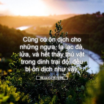 Picture 05 - Xê-ca-ri-a 14:15 VIE - Cũng có ôn dịch cho những ngựa, la lạc - Bible Verse Picture