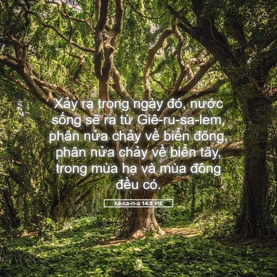 Picture 05 - Xê-ca-ri-a 14:8 VIE - Xảy ra trong ngày đó, nước sống sẽ ra - Bible Verse Picture