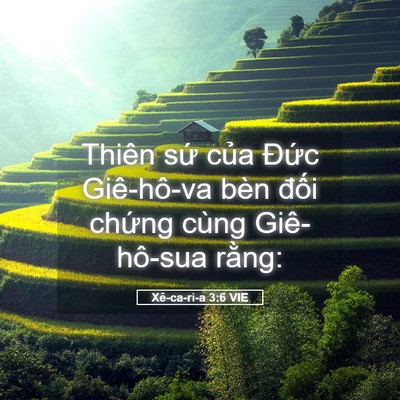 Picture 05 - Xê-ca-ri-a 3:6 VIE - Thiên sứ của Đức Giê-hô-va bèn đối - Bible Verse Picture