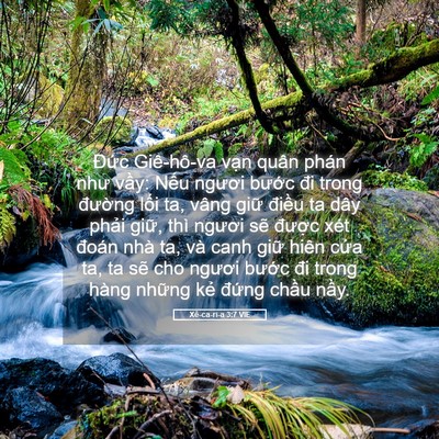 Picture 05 - Xê-ca-ri-a 3:7 VIE - Đức Giê-hô-va vạn quân phán như vầy: - Bible Verse Picture