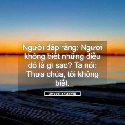 Picture 05 - Xê-ca-ri-a 4:13 VIE - Người đáp rằng: Ngươi không biết - Bible Verse Picture