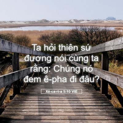 Picture 05 - Xê-ca-ri-a 5:10 VIE - Ta hỏi thiên sứ đương nói cùng ta - Bible Verse Picture