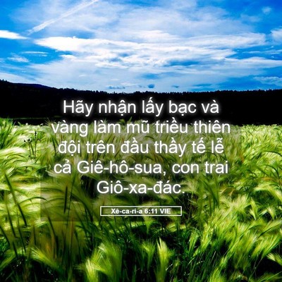 Picture 05 - Xê-ca-ri-a 6:11 VIE - Hãy nhận lấy bạc và vàng làm mũ - Bible Verse Picture