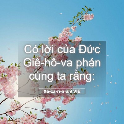 Picture 05 - Xê-ca-ri-a 6:9 VIE - Có lời của Đức Giê-hô-va phán cùng ta - Bible Verse Picture