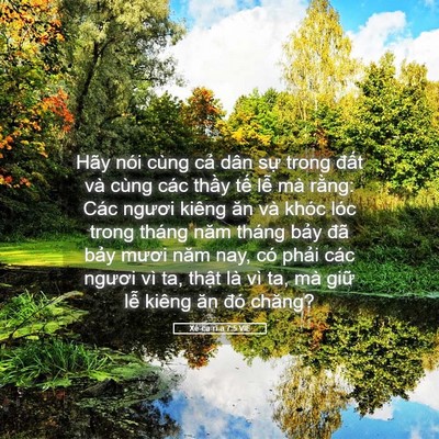 Picture 05 - Xê-ca-ri-a 7:5 VIE - Hãy nói cùng cả dân sự trong đất và - Bible Verse Picture