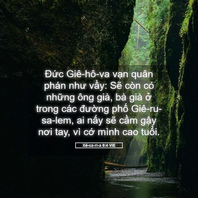 Picture 05 - Xê-ca-ri-a 8:4 VIE - Đức Giê-hô-va vạn quân phán như vầy: - Bible Verse Picture