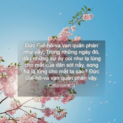Picture 05 - Xê-ca-ri-a 8:6 VIE - Đức Giê-hô-va vạn quân phán như vầy: - Bible Verse Picture