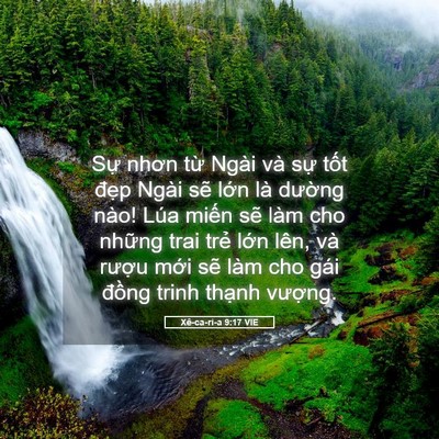 Picture 05 - Xê-ca-ri-a 9:17 VIE - Sự nhơn từ Ngài và sự tốt đẹp Ngài - Bible Verse Picture